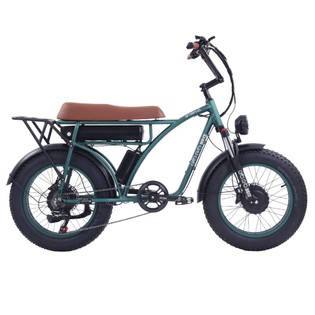 GOGOBEST GF750 Plus Electric Retro Bike 20*4.0 inch Fat Tires 1000W*2 Motor 50km/h Max Speed 48V 17.5Ah Battery Front and Rear Hydraulic Brakes Shimano 7-Speed Gears – Green