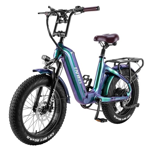 F20 Master E-bike 20*4.0 Däck 500W Motor Grön