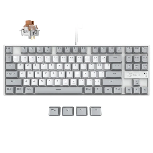3inuS 87-Key 5-in-1 Mechanical Keyboard, Multi-Port Hub, Hot-Swappable USB-C Wired Gaming Keyboard, Compatible with Mac & Windows OS - Brown Switches