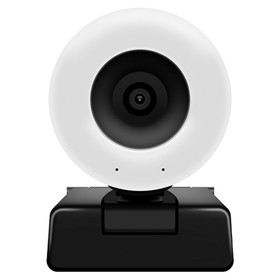 Webcam c270 online zoom