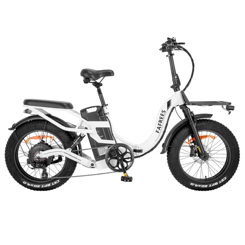 Motore elettrico FAFREES F20 X-Max 20 pollici 25 km / h 48 V 30 Ah 750 W -  Bianco