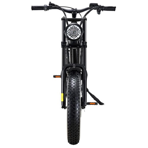 Riding' times Z8 Electric Bike 20 Inch 28MPH Speed 48V
