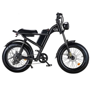 Z8 Electric Bike 20*4.0 inch CHAOYANG Fat Tir