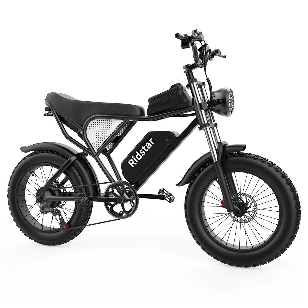 Ridstar Q20 Electric Bike (Geekbuying Europe)