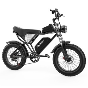 Ridstar Q20 Electric Bike 20 inch 1000W Motor 48V 20Ah 48km/h Speed