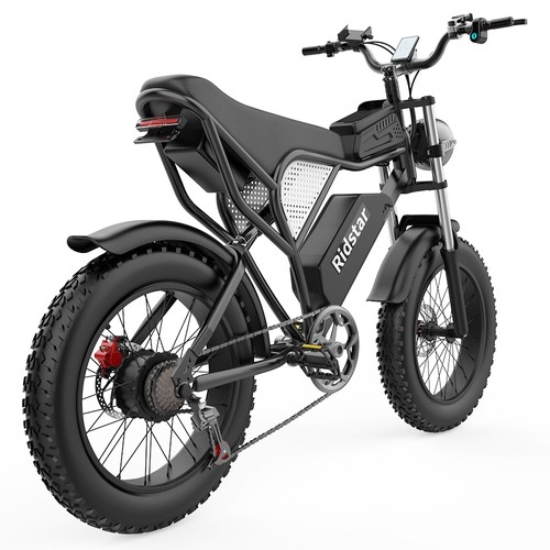 Ridstar Q20 Elektrofahrrad 20 Zoll 1000W Motor 48V 20Ah 48km/h Geschwindigkeit