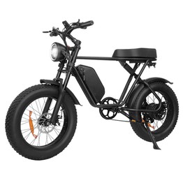 Q8 Off-road E-Bike 20*4.0