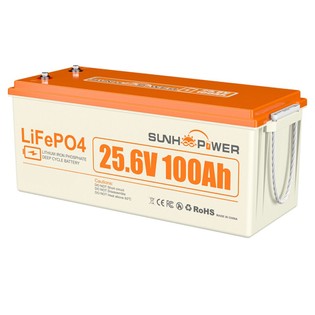 SUNHOOPOWER 24V 100Ah LiFePO4 Battery, 2560Wh Energy, Built-in 100A BMS, Max.2560W Load Power, Max. 100A Charge/Discharge, IP68 Waterproof