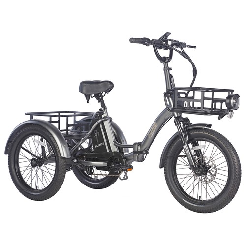 FAFREES F20 Mate Electric Tricycle Grey