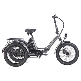 FAFREES F20 Mate Electric Tricycle Black