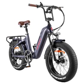 FAFREES F20 Master E-bike 20*4.0 إطار 500 وات محرك أورورا رمادي