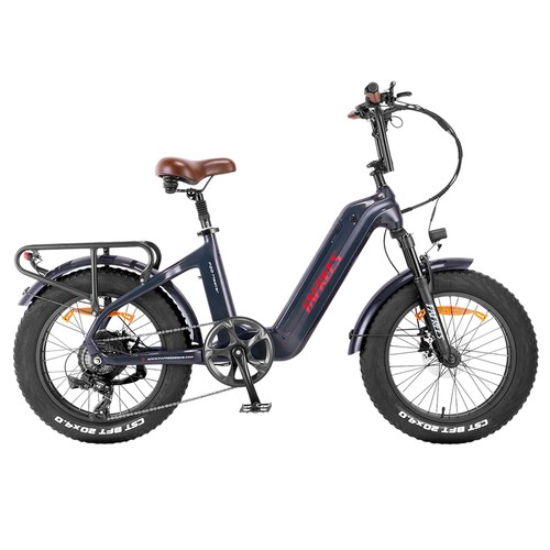 FAFREES F20 Master E-Bike 20*4.0 Reifen 500W Motor Aurora Grau