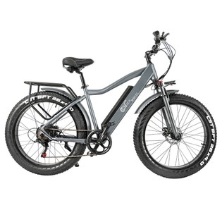 CMACEWHEEL J26 Electric Bike, 26*4.0'' CST Tire, 750W Motor, 45km/h Max Speed, 110km Max Range, 17Ah Battery, Disc Brake, 150kg Max Load - Silver Grey