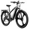 CYSUM CM520 Electric Mountain Bike 29*2.1 Inch Chaoyang Tire