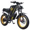 COSWHEEL GT20 Electric Off-road Bike, 20*4.0 inch Tire, 750W