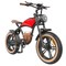 Hidoes B10 Electric Bike, 1000W Motor, 48V 13Ah Battery, 20 