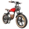 Hidoes B10 Electric Bike, 1000W Motor, 48V 13Ah Battery, 20 x4.0 inch Fat Tire, 45km/h Max Speed, 60km Range, Dual Mechanical Disc Brakes, Hydraulic Front Fork