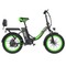 Hidoes C1 Electric Bike with Rear Seat, 750W Motor, 48V 13Ah