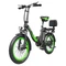 Hidoes C1 Electric Bike with Rear Seat, 750W Motor, 48V 13Ah Battery, 20*3.0 inch Fat Tire, 40km/h Max Speed, 70km Range, Front &amp; Rear Disc Brake - Green