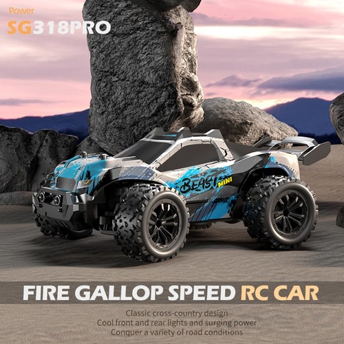 ZLL SG318 Pro 1/20 2,4G 4WD Brushed RC-Auto - 1 Batterie