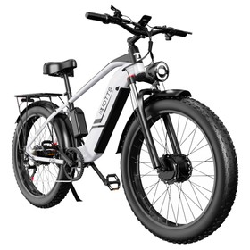 DUOTTS F26 Elektrofahrrad 750W*2 Doppelmotoren LG 17,5Ah Akku Silber