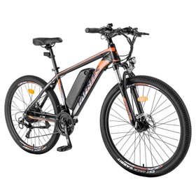 Fafrees Hailong One Electric Bike 250W/13Ah Black