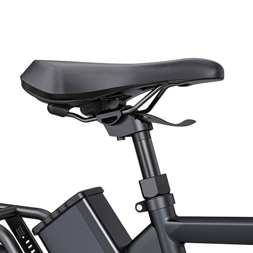 ENGWE P275 Pro Electric Bike - Black