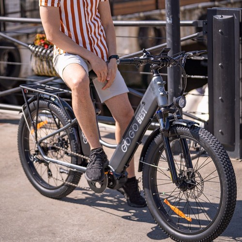 Vélo électrique Cargo GOGOBEST 2 Roues - 20 Pouces - 500W - 48V - Noir - Neuf - Année 2025