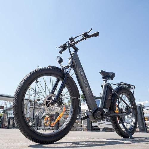 Vélo électrique Cargo GOGOBEST – 20 Pouces – 500W – 48V – Autonomie 80km – Neuf 2025