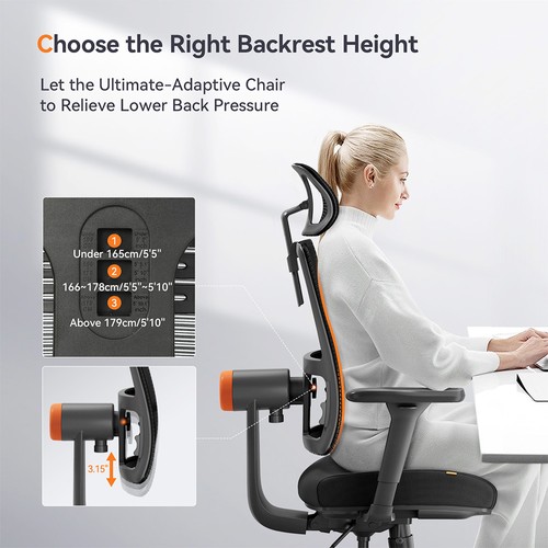 NEWTRAL MAGICH003 Ergonomic Chair
