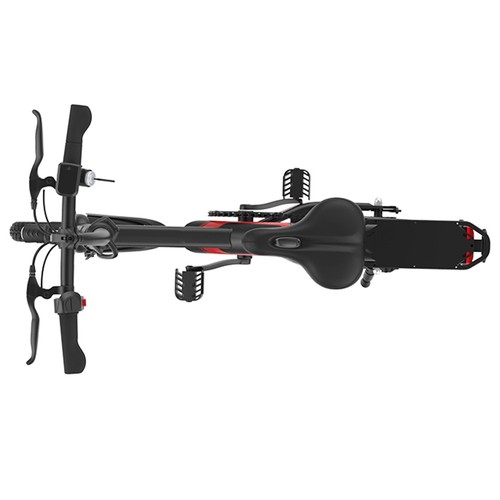 Y1S Electric Bike 12-Inch Tires 250W