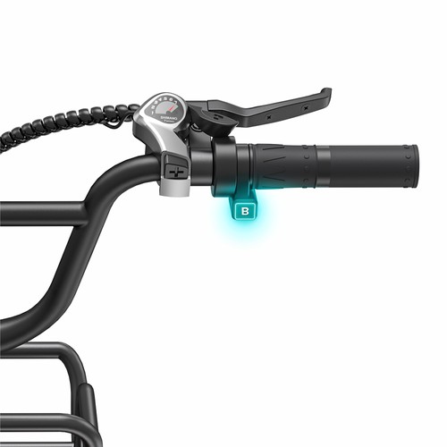 ENGWE L20 BOOST Electric Bike Green