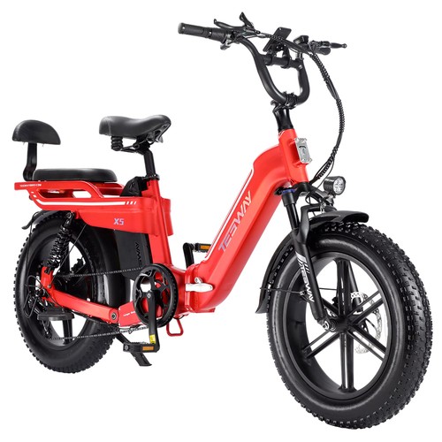 TESWAY X5 Elektrofahrrad 750W 25AH Rot