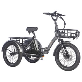 FAFREES F20 Mate Electric Tricycle Black