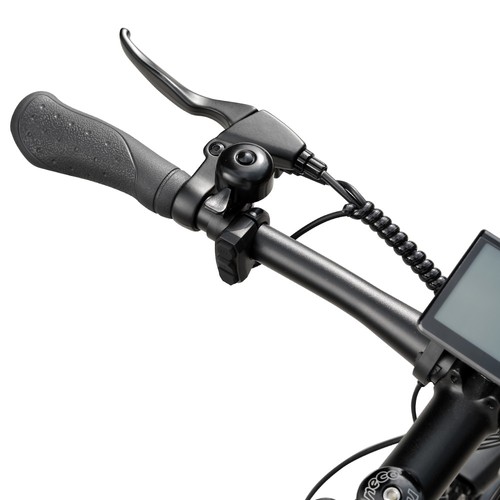Eleglide T1 36V 250W Electric Bike