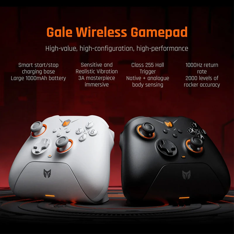 BigBig Won Gale Hall full review : r/Controller