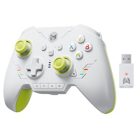 BIGBIG WON Rainbow 2 SE Game Controller Green