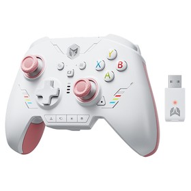 BIGBIG WON Rainbow 2 SE Game Controller Pink