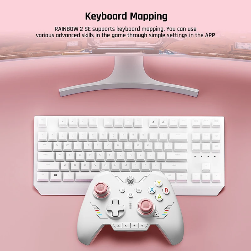 Amazon.com: PC Controllers for Gaming, BIGBIG WON Rainbow 2