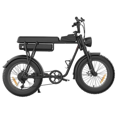 YAMALI FXH-006 Electric Bike [ 
1000W 20Ah] (Geekbuying Europe)