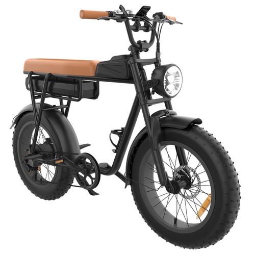 YAMALI FXH-006 Elektrofahrrad 1000W 20AH Braun