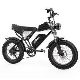 Ridstar Q20 Elektrofahrrad bürstenloser 1000-W-Motor 20 x 4 Zoll dicke Reifen