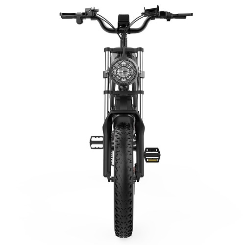 Vélo Électrique RIDSTAR CR20 1000W - VTT Électrique 20 Pouces - Autonomie 70 Km - Neuf