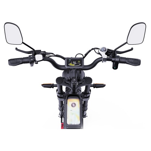 Ridstar Q20 Pro E-Bike 2000W Motor