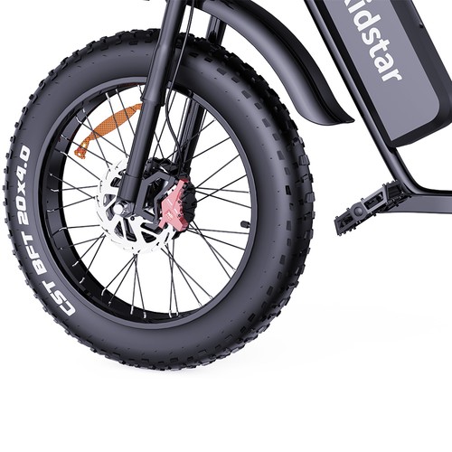 Ridstar Q20 Pro E-Bike 2000W Motor