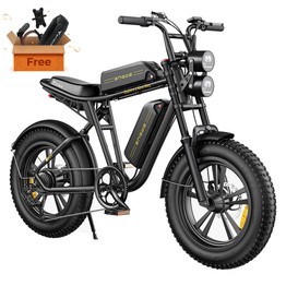 ENGWE M20 13Ah Dual Battery 20 Inch E-Bike 750W 45Km/h Speed Black | Europe