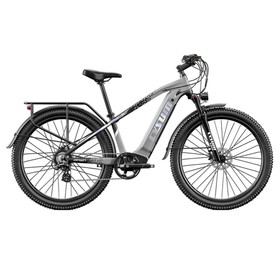 Cysum Speedy Elektrofahrrad 500W 14AH Grau