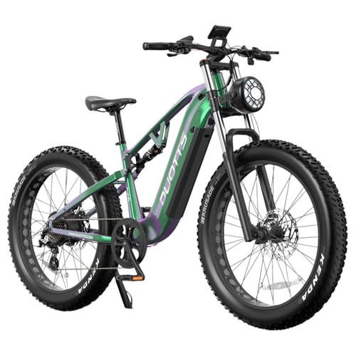 DUOTTS E26 Electric Bike 750W 20AH Green Purple | Europe