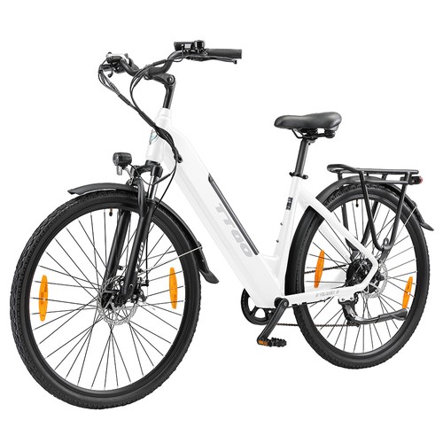 TTGO HZ-28ST Elektrofahrrad 250W 20AH Weiß