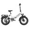 G-FORCE RE ST Electric Bike, 250W Motor, 48V 15.6AH Battery,